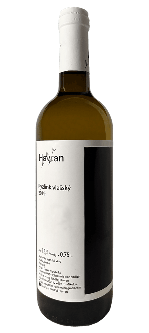 Ryzlink vlašský 2019 - hezkavina